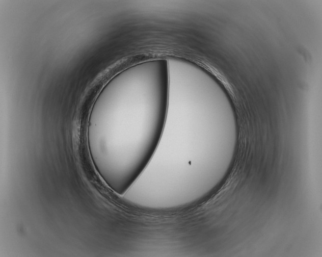 X0000115640722200911101055