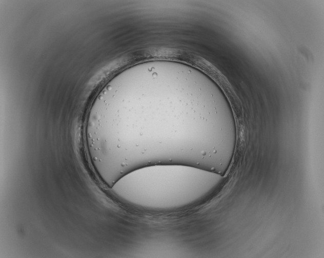 X0000115640725200911101055