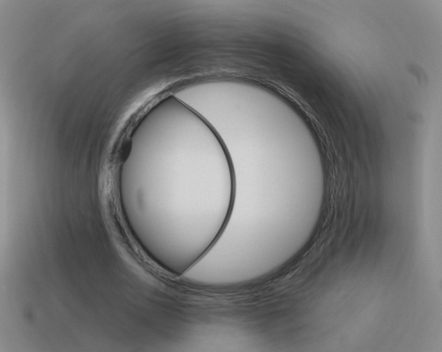 X0000115640726200911101055