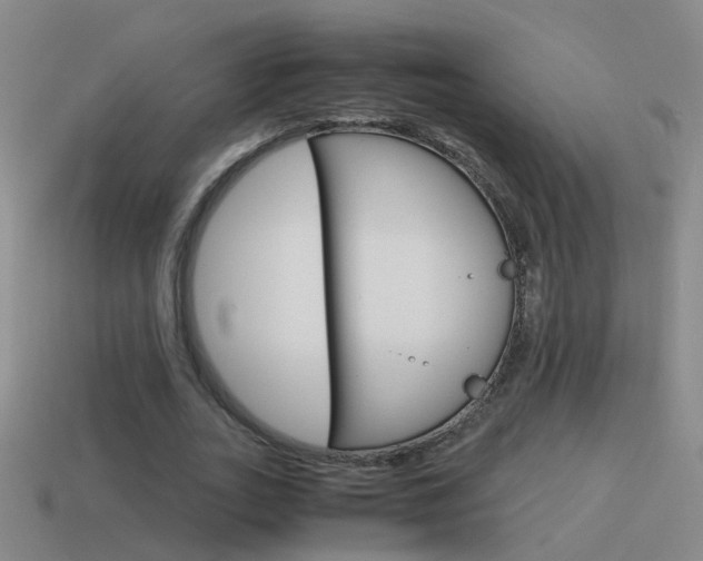 X0000115640727200911101055