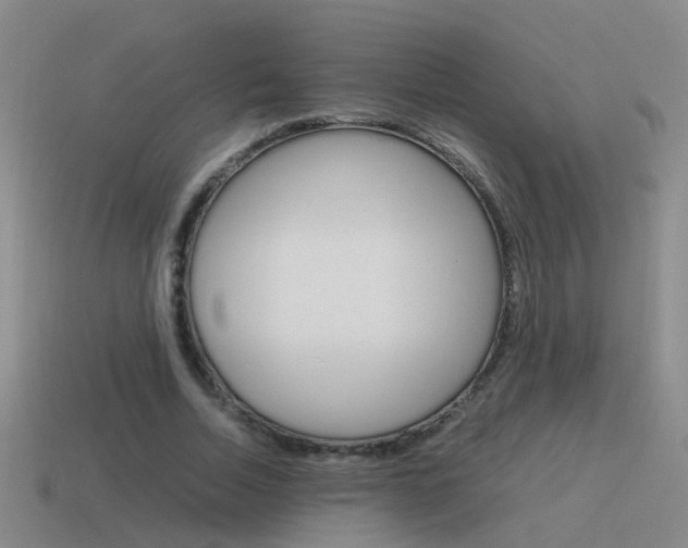 X0000115640730200911101055