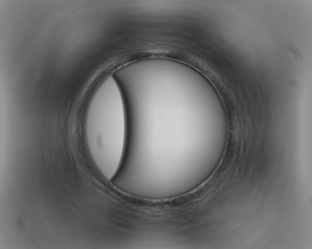 X0000115640731200911101055
