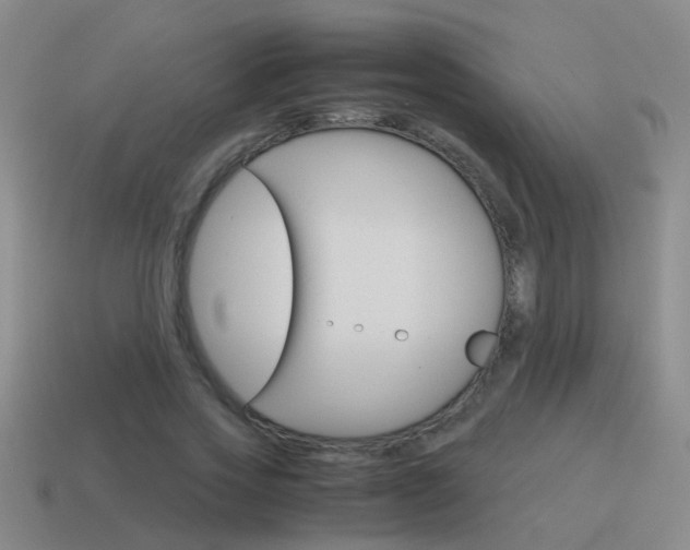 X0000115640733200911101055
