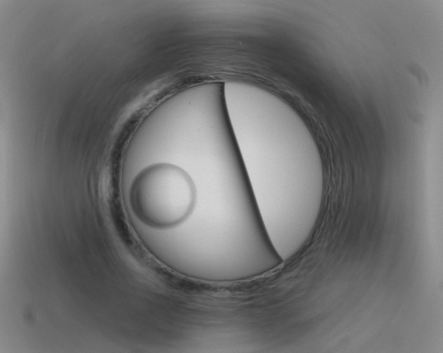 X0000115640734200911101055
