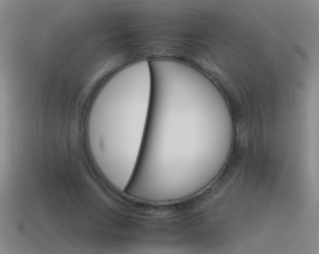 X0000115640735200911101055