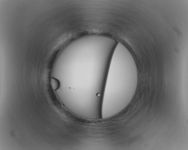 X0000115640738200911101055
