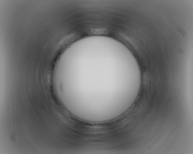 X0000115640741200911101056