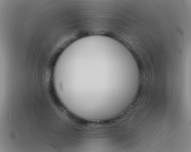 X0000115640742200911101056