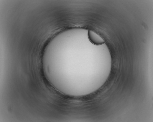 X0000115640743200911101056