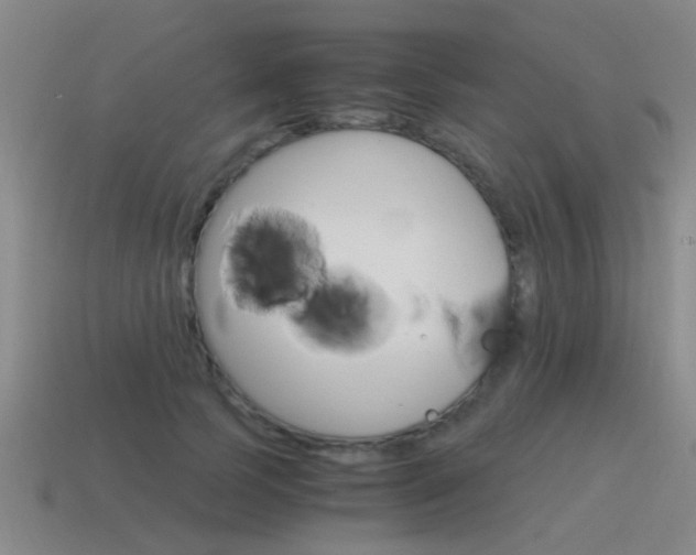 X0000115640745200911101056