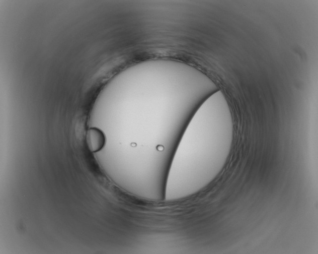 X0000115640746200911101056