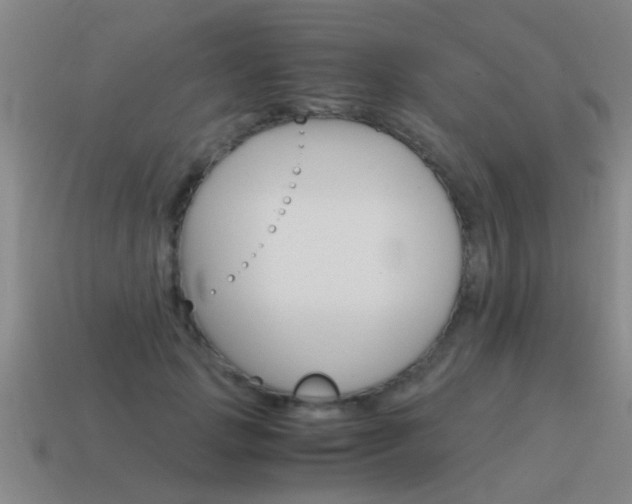 X0000115640749200911101056
