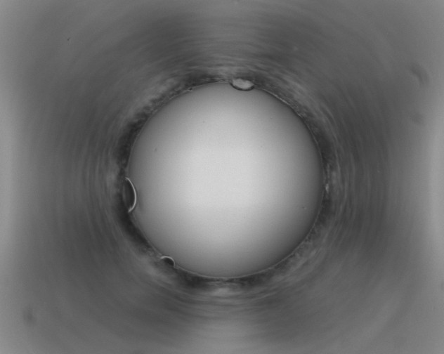 X0000115640750200911101056