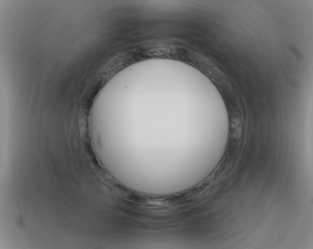 X0000115640753200911101056