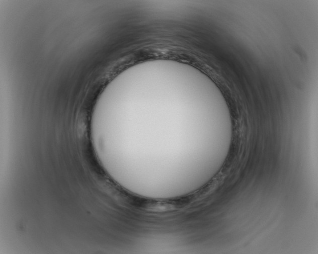 X0000115640754200911101056