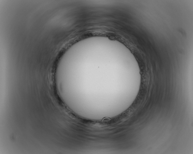 X0000115640755200911101056
