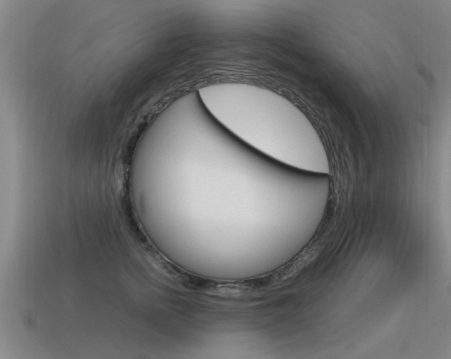 X0000115640758200911101056