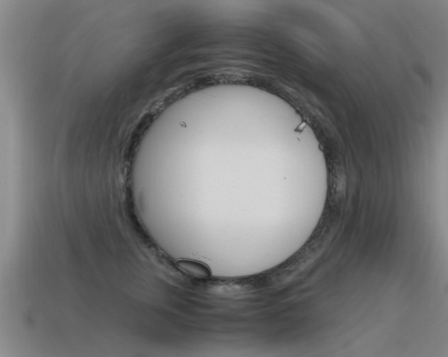 X0000115640759200911101056