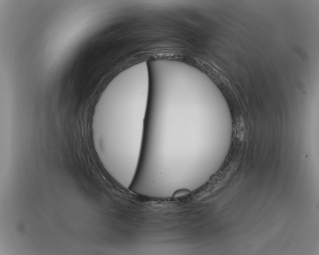 X0000115640763200911101056