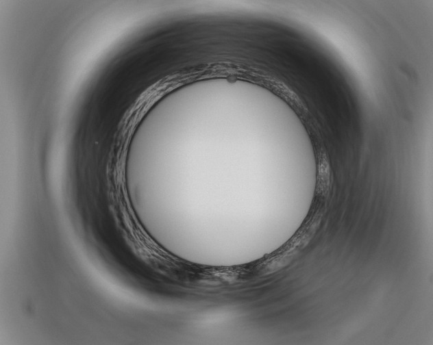 X0000115640765200911101056