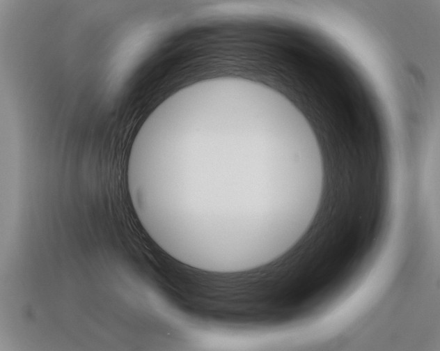 X0000115640766200911101056