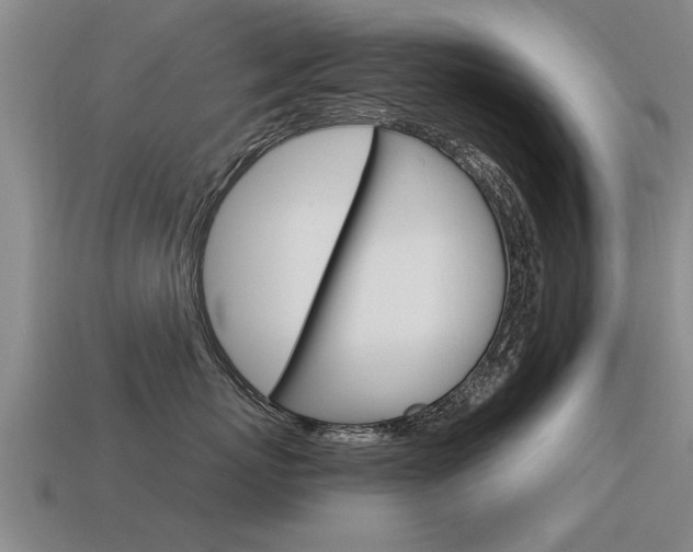 X0000115640767200911101056
