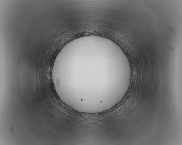 X0000115640770200911101055