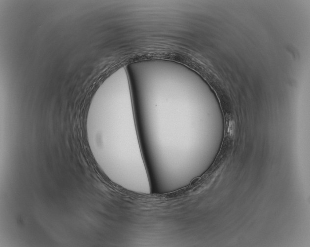 X0000115640771200911101055