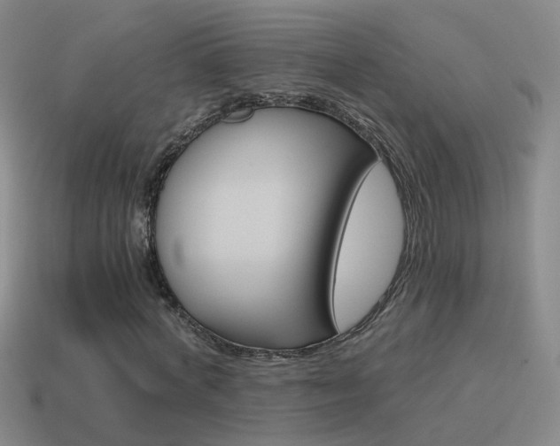 X0000115640772200911101055