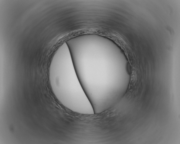 X0000115640773200911101055