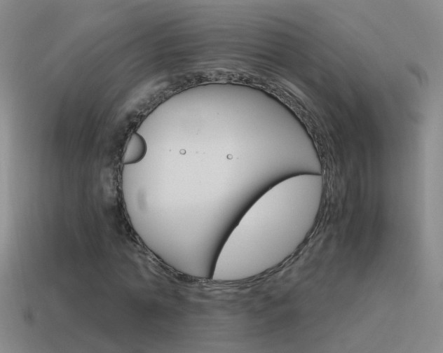 X0000115640774200911101055