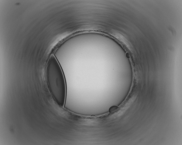 X0000115640781200911101055