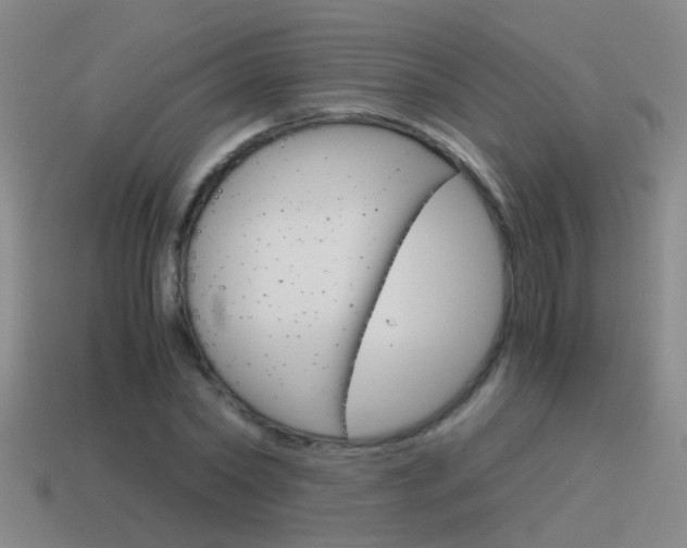 X0000115640782200911101055
