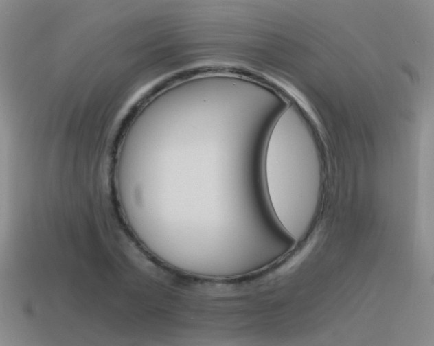X0000115640783200911101055