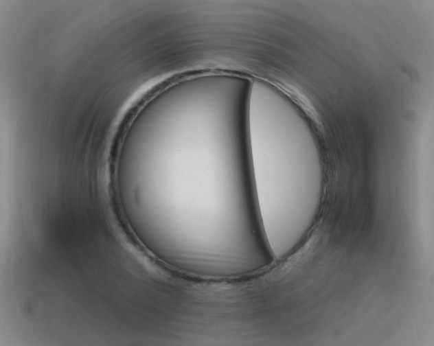 X0000115640784200911101055