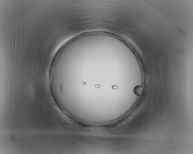 X0000115640789200911101055
