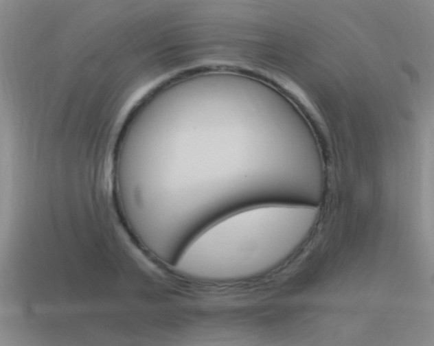 X0000115640791200911101055
