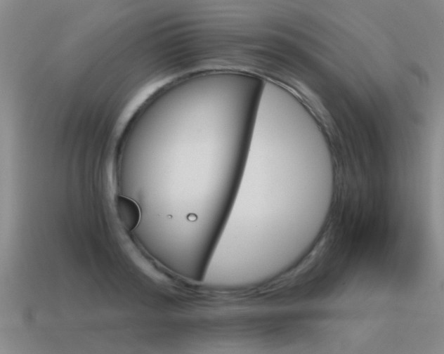 X0000115640796200911101055