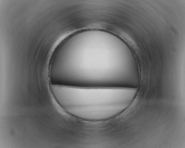 X0000115640800200911101055
