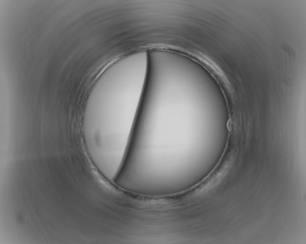 X0000115640801200911101055