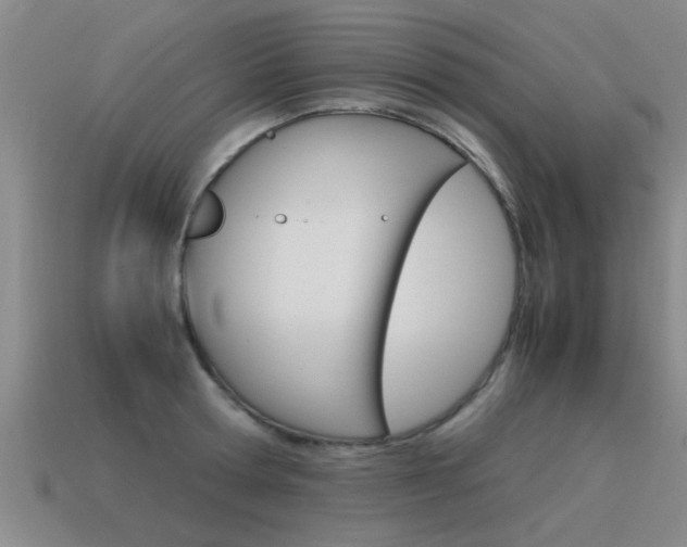 X0000115640802200911101055