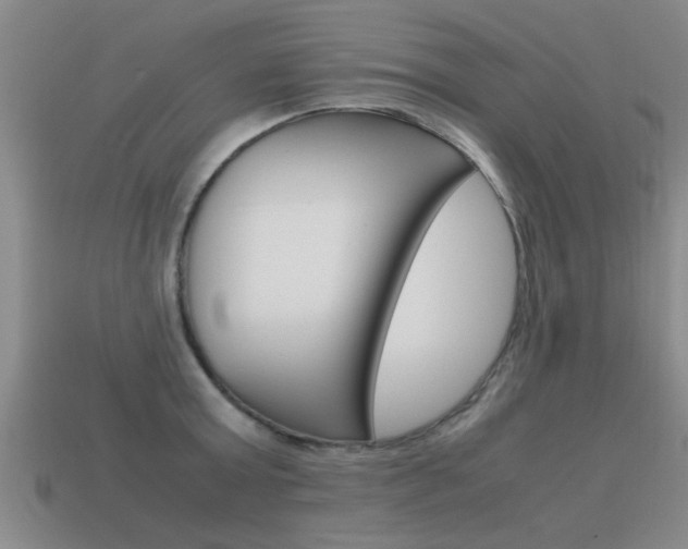 X0000115640803200911101055