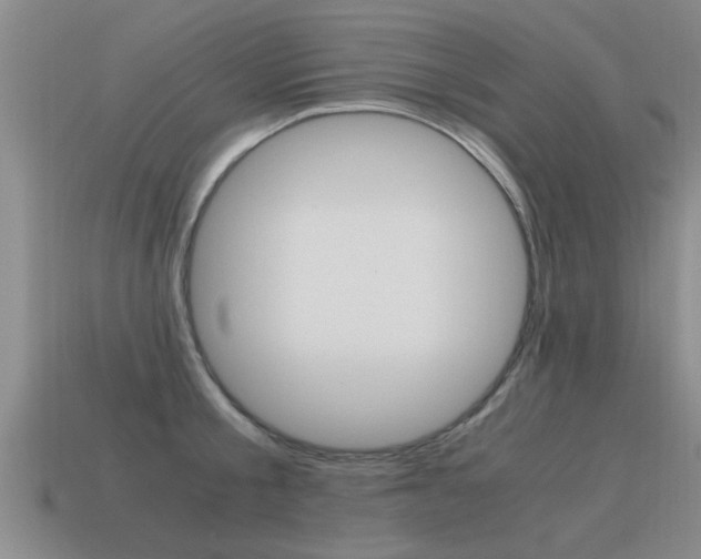 X0000115640805200911101055
