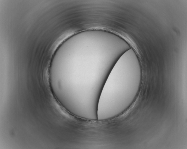 X0000115640806200911101055