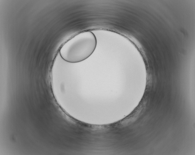 X0000115640807200911101055