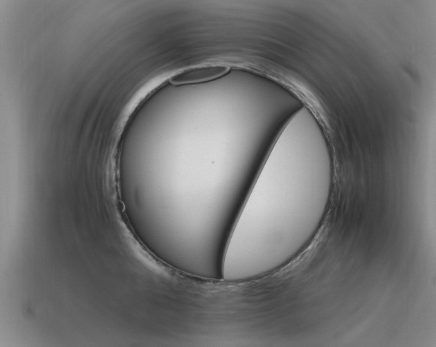 X0000115640808200911101055