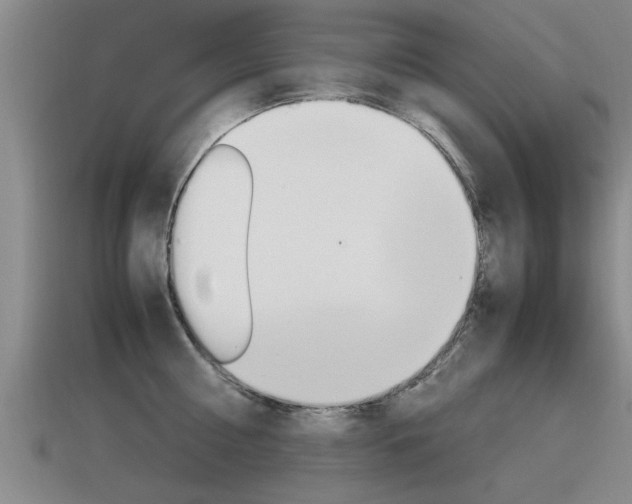 X0000115640810200911101055