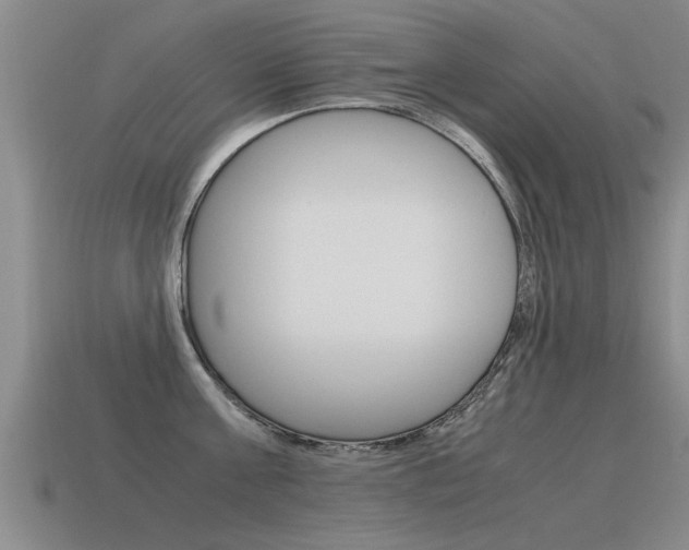 X0000115640811200911101055