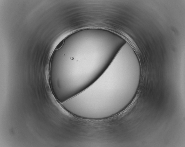X0000115640812200911101055