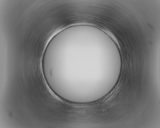 X0000115640813200911101055
